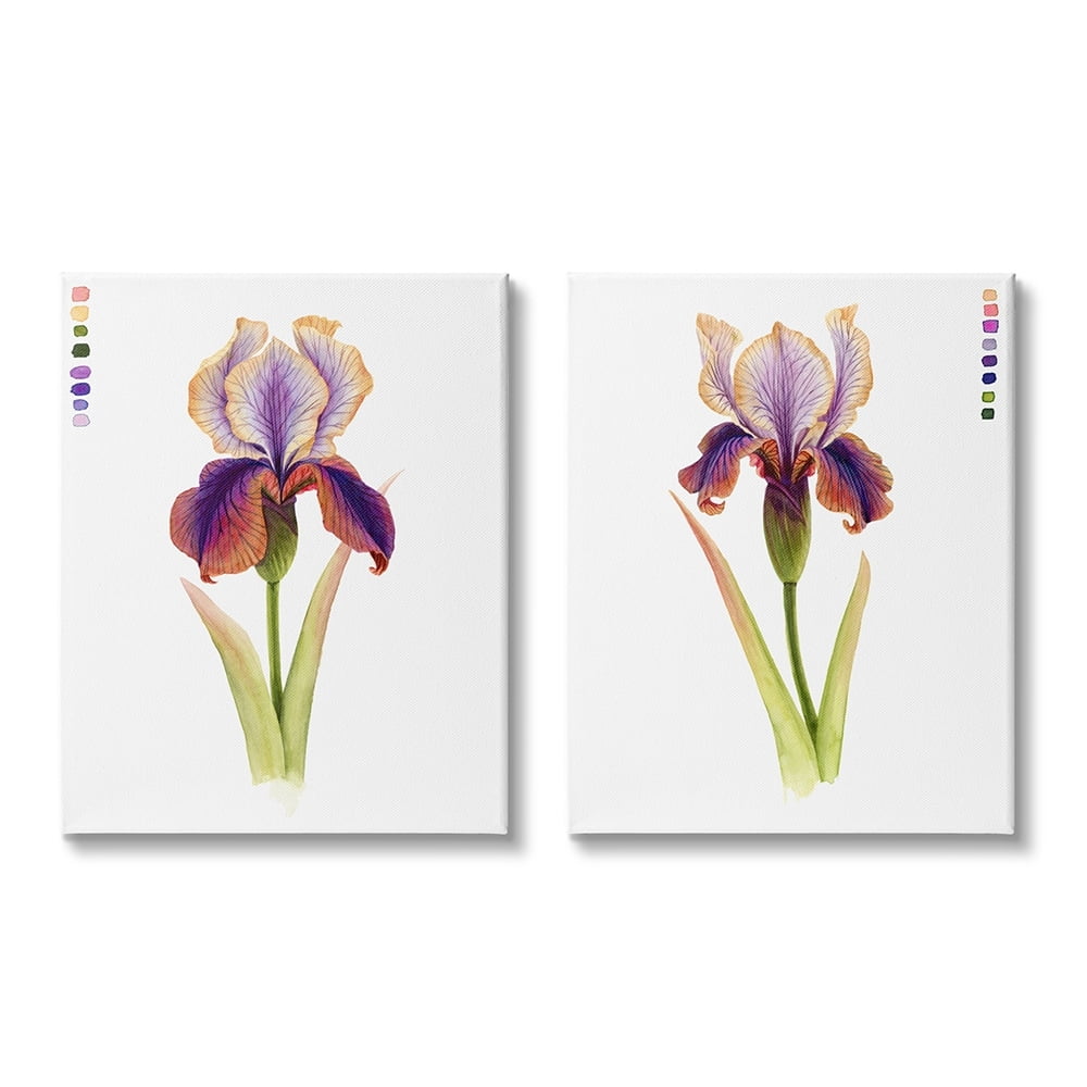 Stupell Industries Orange Purple Iris Flower with Color Key Canvas Wall Art by Grace Popp