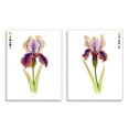 thumbnail image 1 of Stupell Industries Orange Purple Iris Flower with Color Key Wall Plaque by Grace Popp, 1 of 5