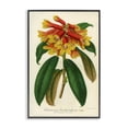 thumbnail image 1 of Stupell Industries Victorian Orange Yellow Rhododendron Black Framed Giclee Art, 12 x 18, by Print Collection, 1 of 8