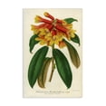 thumbnail image 1 of Stupell Industries Victorian Orange Yellow Rhododendron Canvas Art, 16 x 24, by Print Collection, 1 of 8