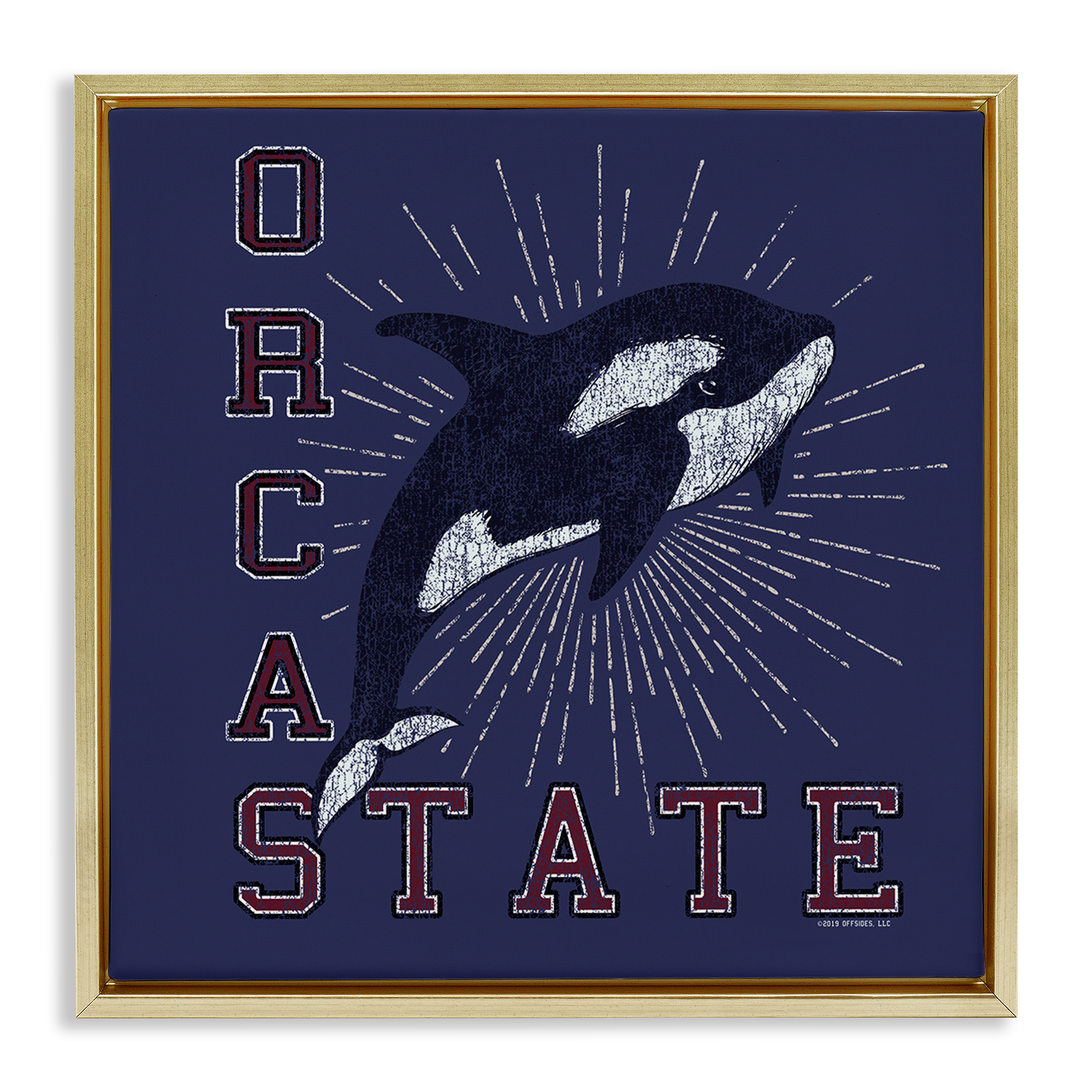 Stupell Industries Orca State Varsity Animals Painting Gold Floater Framed Canvas Art Print Wall Art, 25 x 25