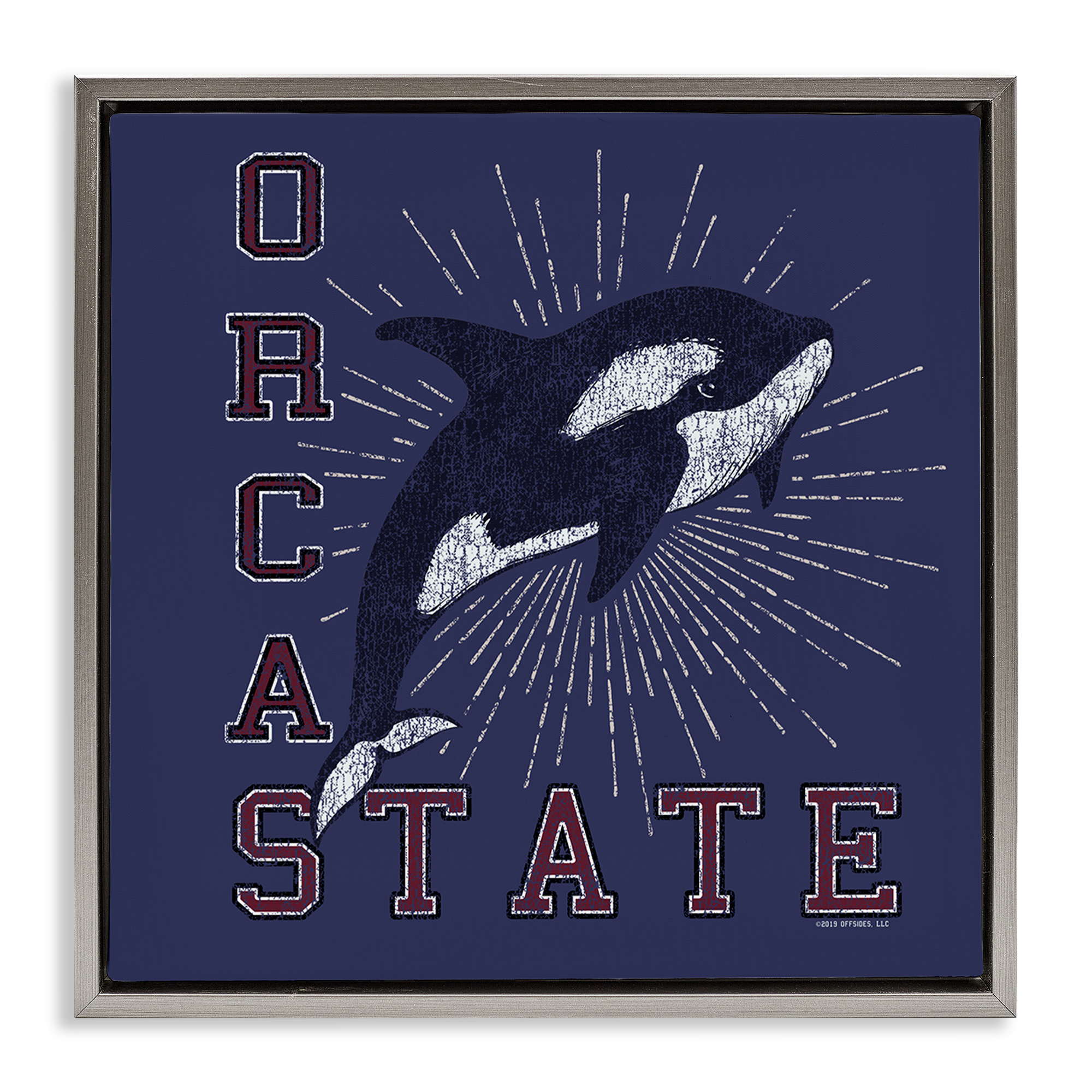 Stupell Industries Orca State Varsity Animals Painting Gray Floater Framed Canvas Art Print Wall Art, 18 x 18
