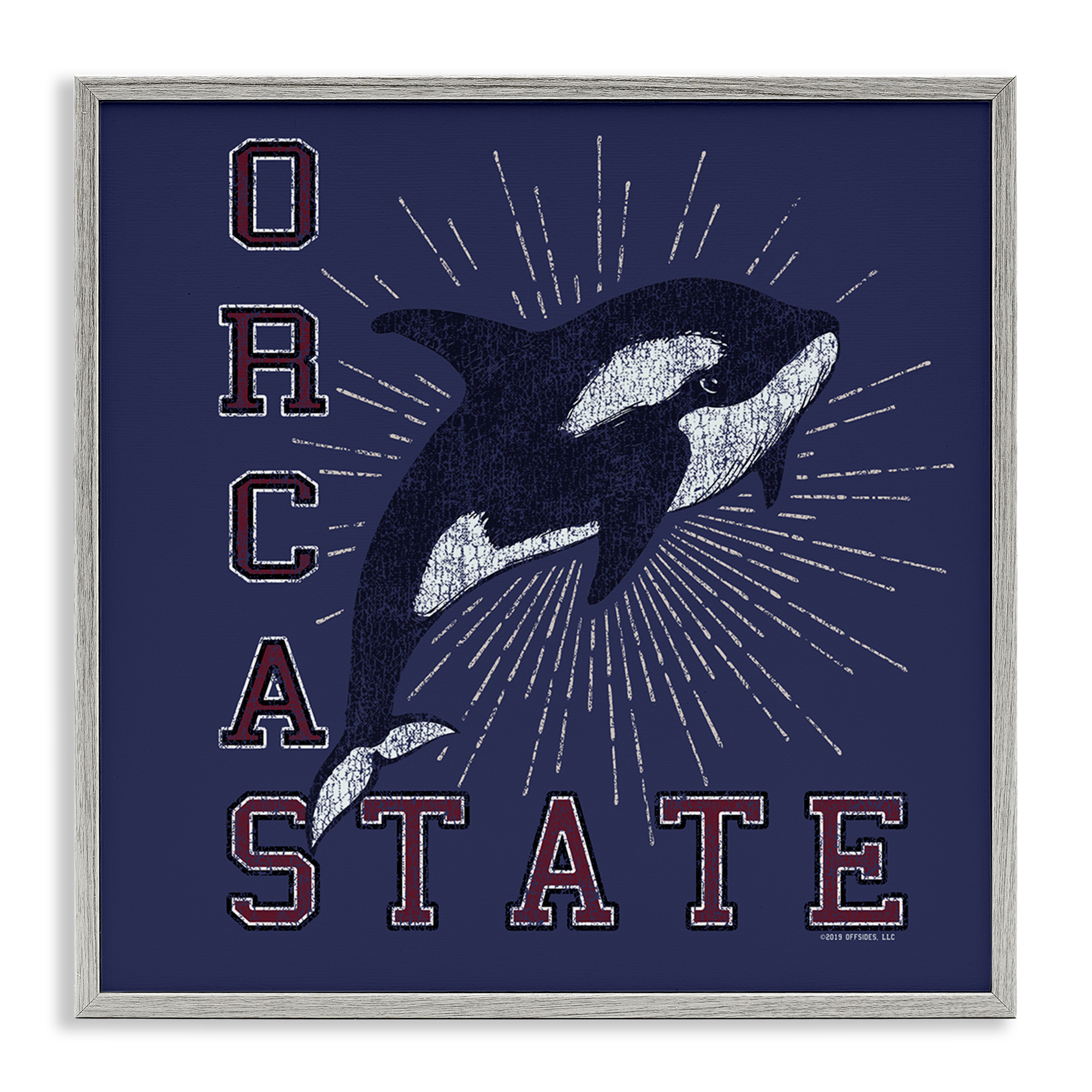 Stupell Industries Orca State Varsity Animals Painting Gray Framed Art Print Wall Art, 24 x 24