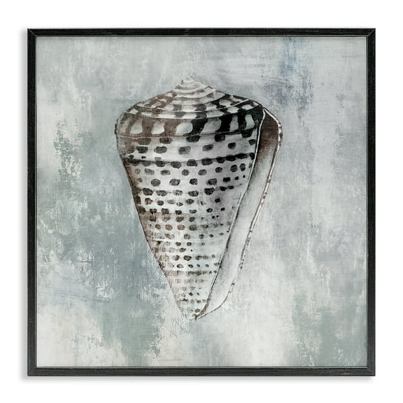Stupell Industries Organic Cowrie Shell Nautical & Beach Painting Black Framed Art Print Wall Art, 12 x 12