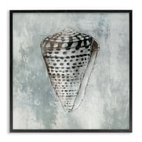 Stupell Industries Organic Cowrie Shell Nautical & Beach Painting Black Framed Art Print Wall Art, 12 x 12