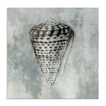 Stupell Industries Organic Cowrie Shell Nautical & Beach Painting Wrapped Canvas Art Print Wall Art, 17 x 17