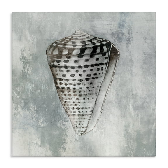 Stupell Industries Organic Cowrie Shell Nautical & Beach Painting Wrapped Canvas Art Print Wall Art, 24 x 24