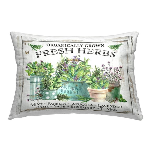 Stupell Industries Organic Fresh Herbs Decorative Printed Throw Pillow Design by Creatif Belle.