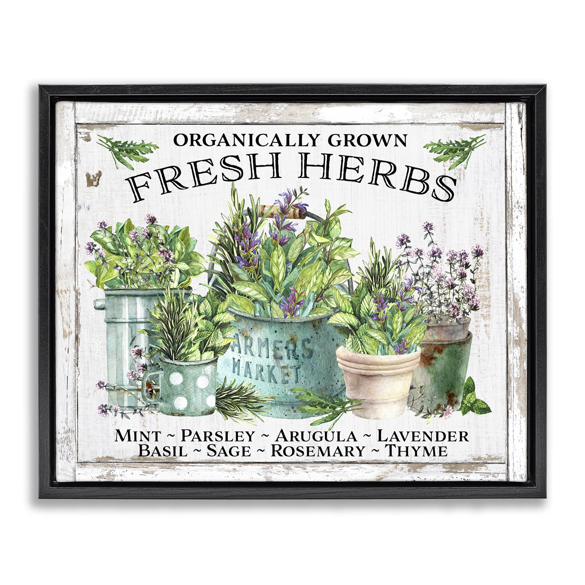Stupell Industries Organic Fresh Herbs Plants & Flowers Painting Black Floater Framed Canvas Art Print Wall Art, 21 x 17