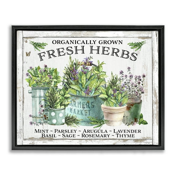 Stupell Industries Organic Fresh Herbs Plants & Flowers Painting Black Floater Framed Canvas Art Print Wall Art, 21 x 17