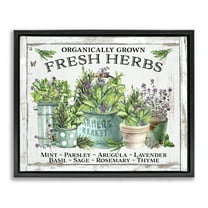 Stupell Industries Organic Fresh Herbs Plants & Flowers Painting Black Floater Framed Canvas Art Print Wall Art, 21 x 17