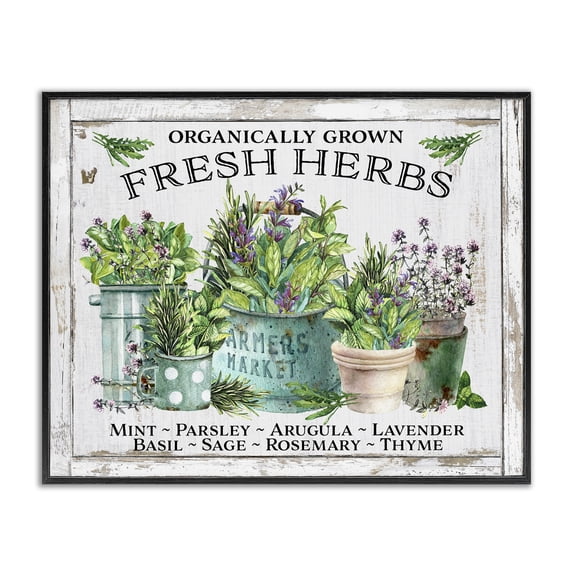 Stupell Industries Cottage Organic Fresh Herbs Black Framed Giclee Art, 14 x 11, by Creatif Belle
