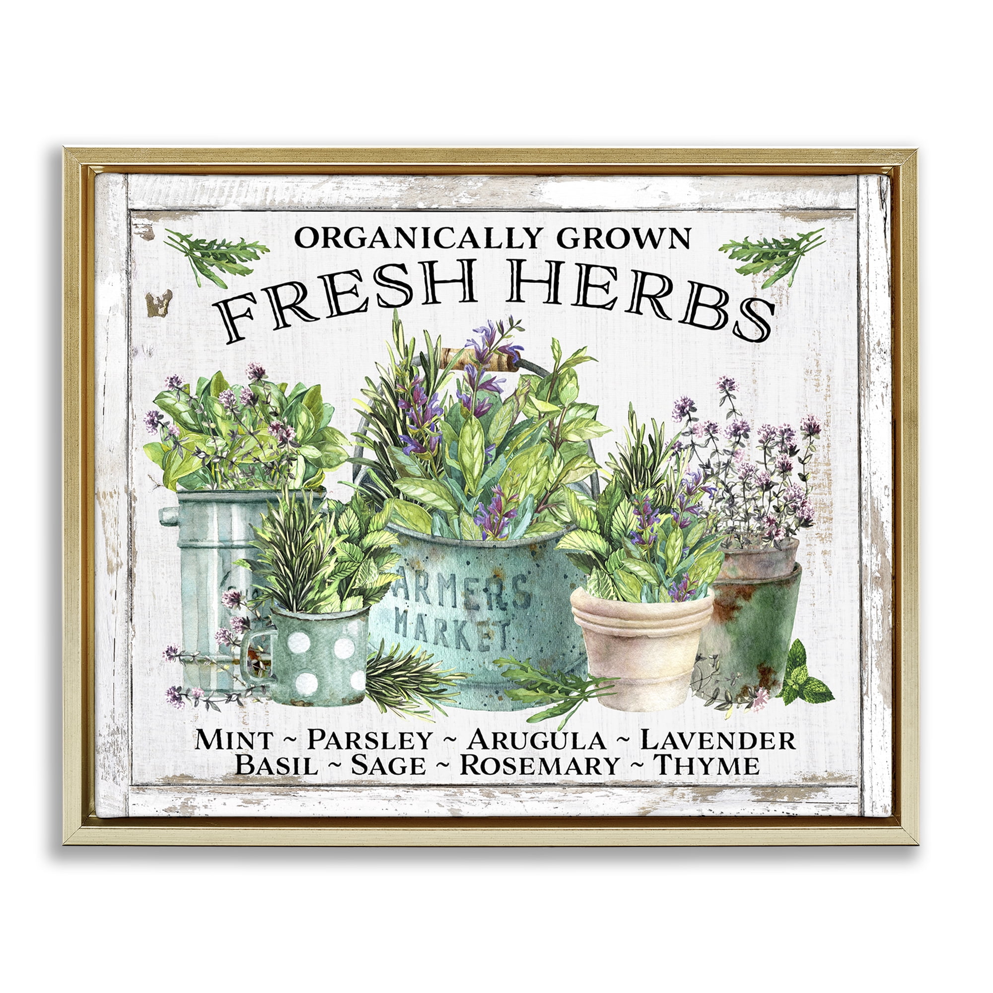 Stupell Industries Organic Fresh Herbs Plants & Flowers Painting Gold Floater Framed Canvas Art Print Wall Art, 31 x 25
