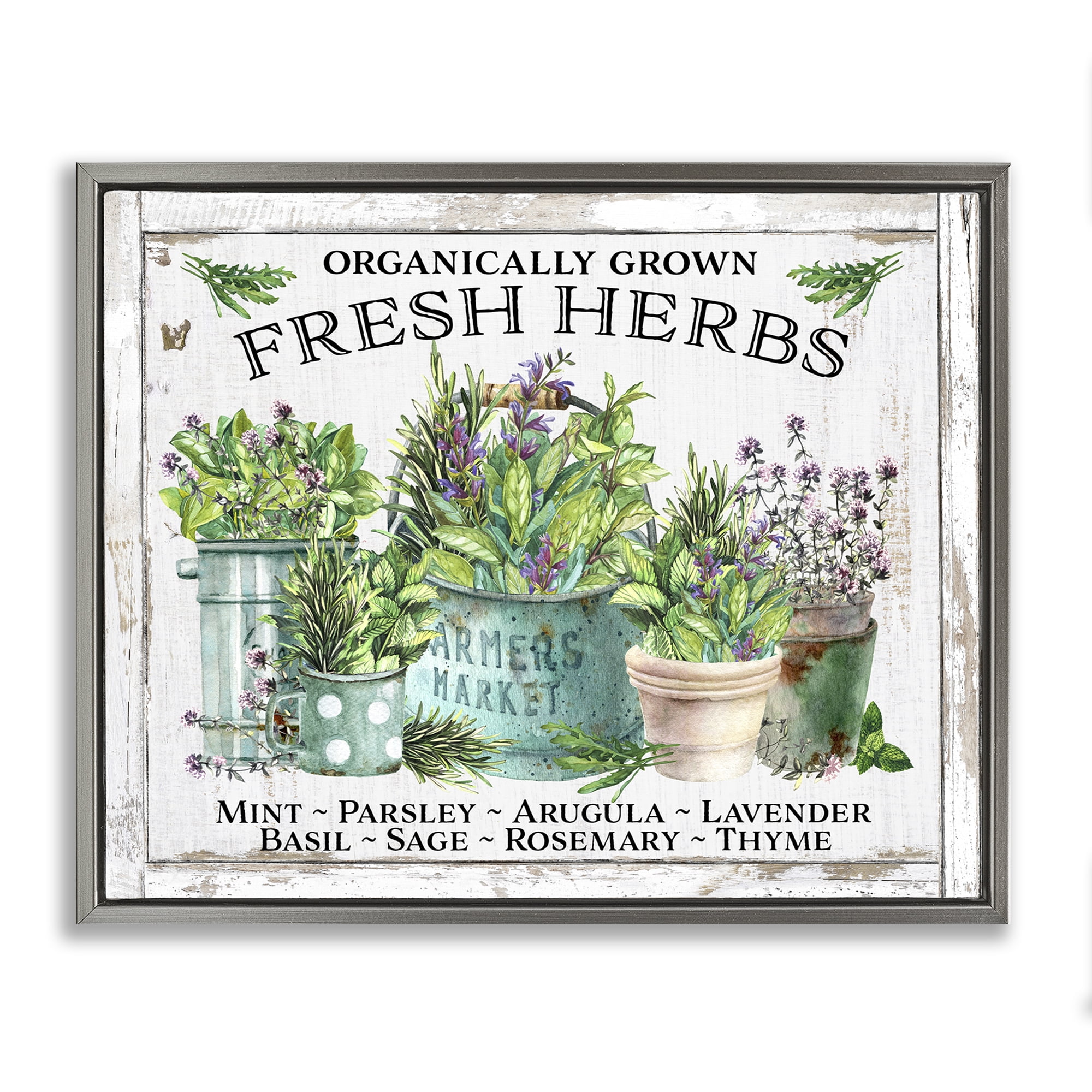 Stupell Industries Organic Fresh Herbs Plants & Flowers Painting Gray Floater Framed Canvas Art Print Wall Art, 31 x 25