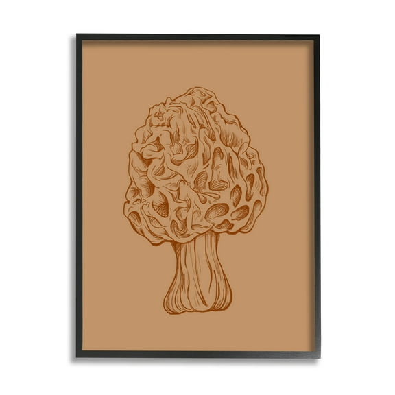 Stupell Industries Organic Mushroom Detailed Study Graphic Art Black Framed Art Print Wall Art, Design by Ziwei Li