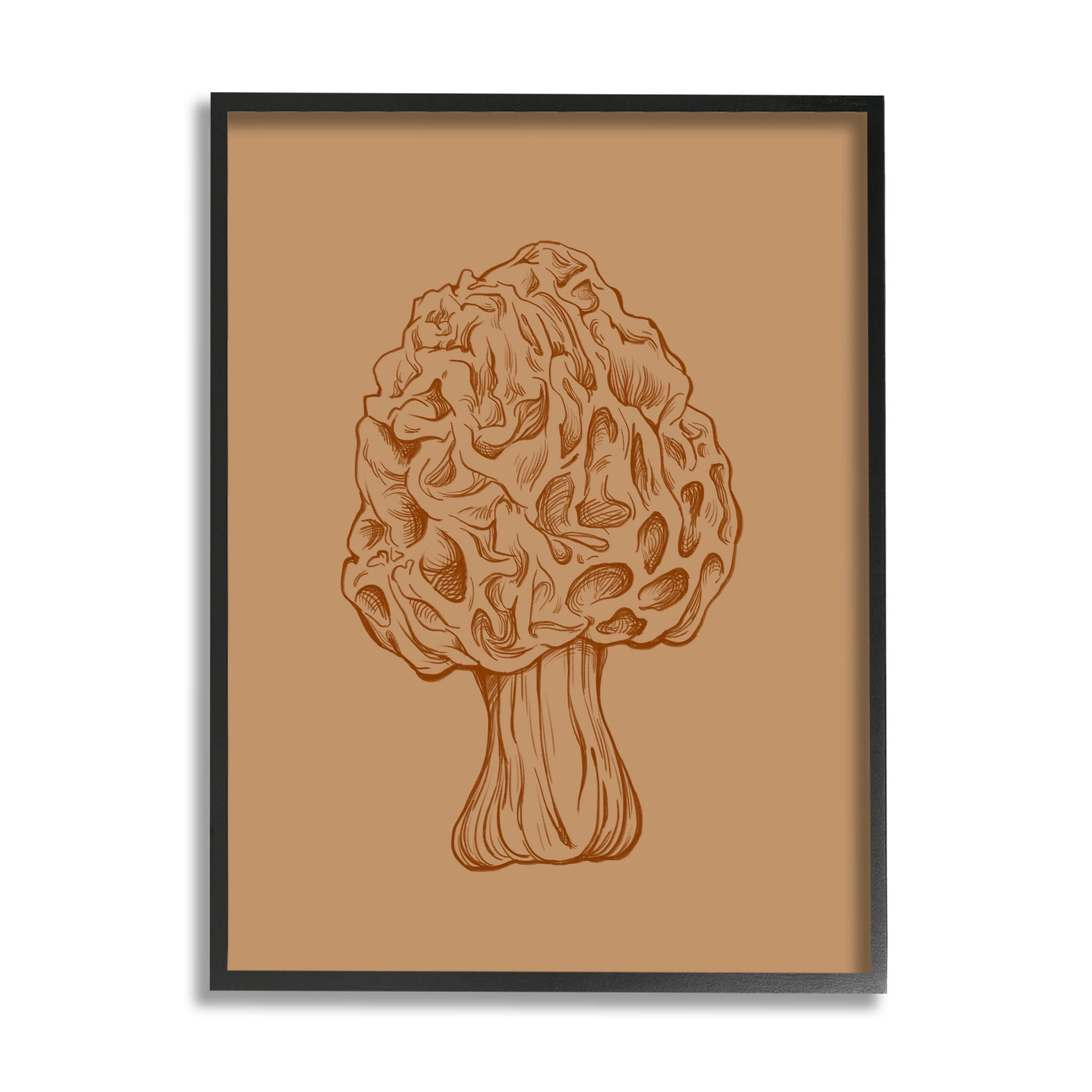 Stupell Industries Organic Mushroom Detailed Study Graphic Art Black Framed Art Print Wall Art, Design by Ziwei Li