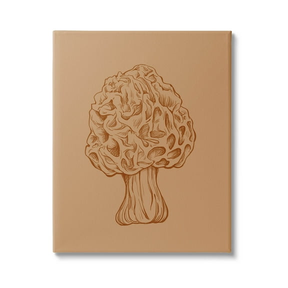 Stupell Industries Organic Mushroom Detailed Study Graphic Art Gallery Wrapped Canvas Print Wall Art, Design by Ziwei Li
