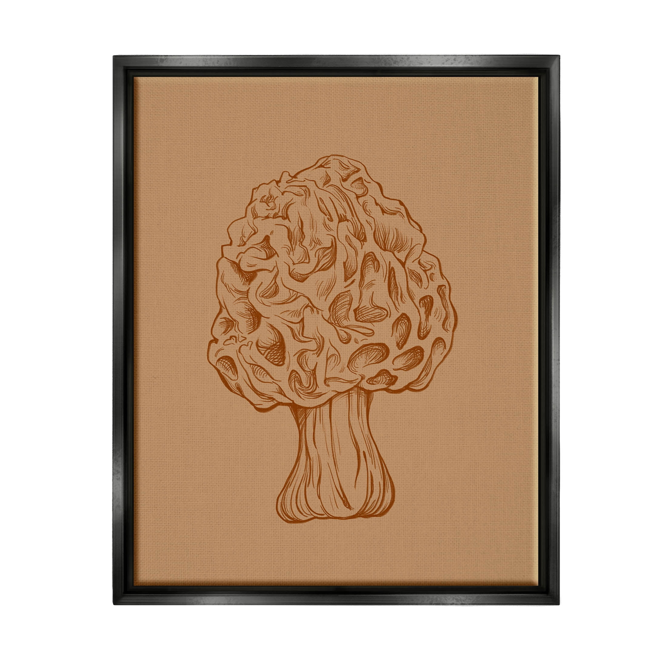 Stupell Industries Organic Mushroom Detailed Study Graphic Art Jet Black Floating Framed Canvas Print Wall Art, Design by Ziwei Li