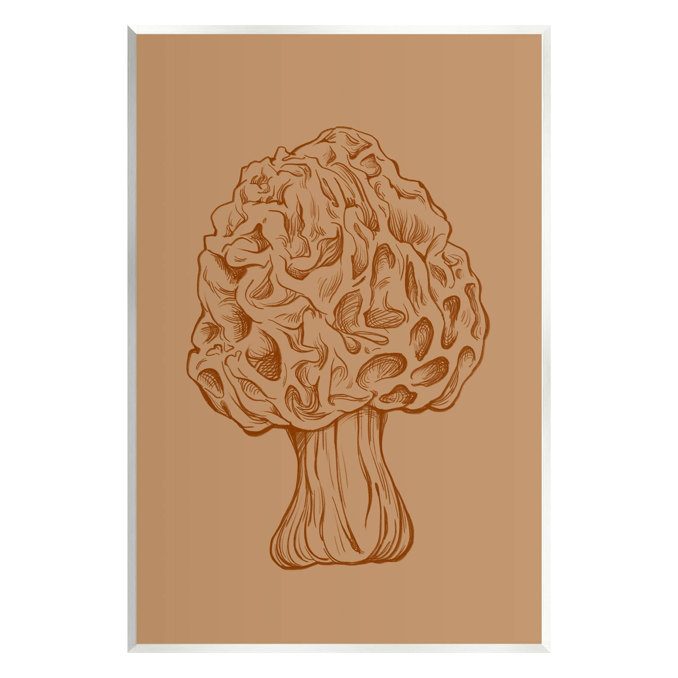 Stupell Industries Organic Mushroom Detailed Study Graphic Art Unframed Art Print Wall Art, Design by Ziwei Li