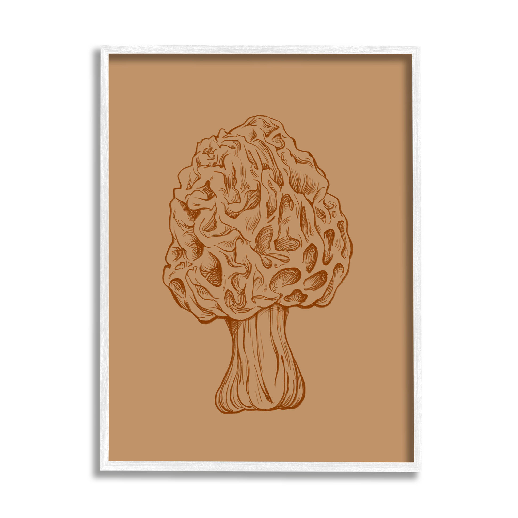 Stupell Industries Organic Mushroom Detailed Study Graphic Art White Framed Art Print Wall Art, Design by Ziwei Li
