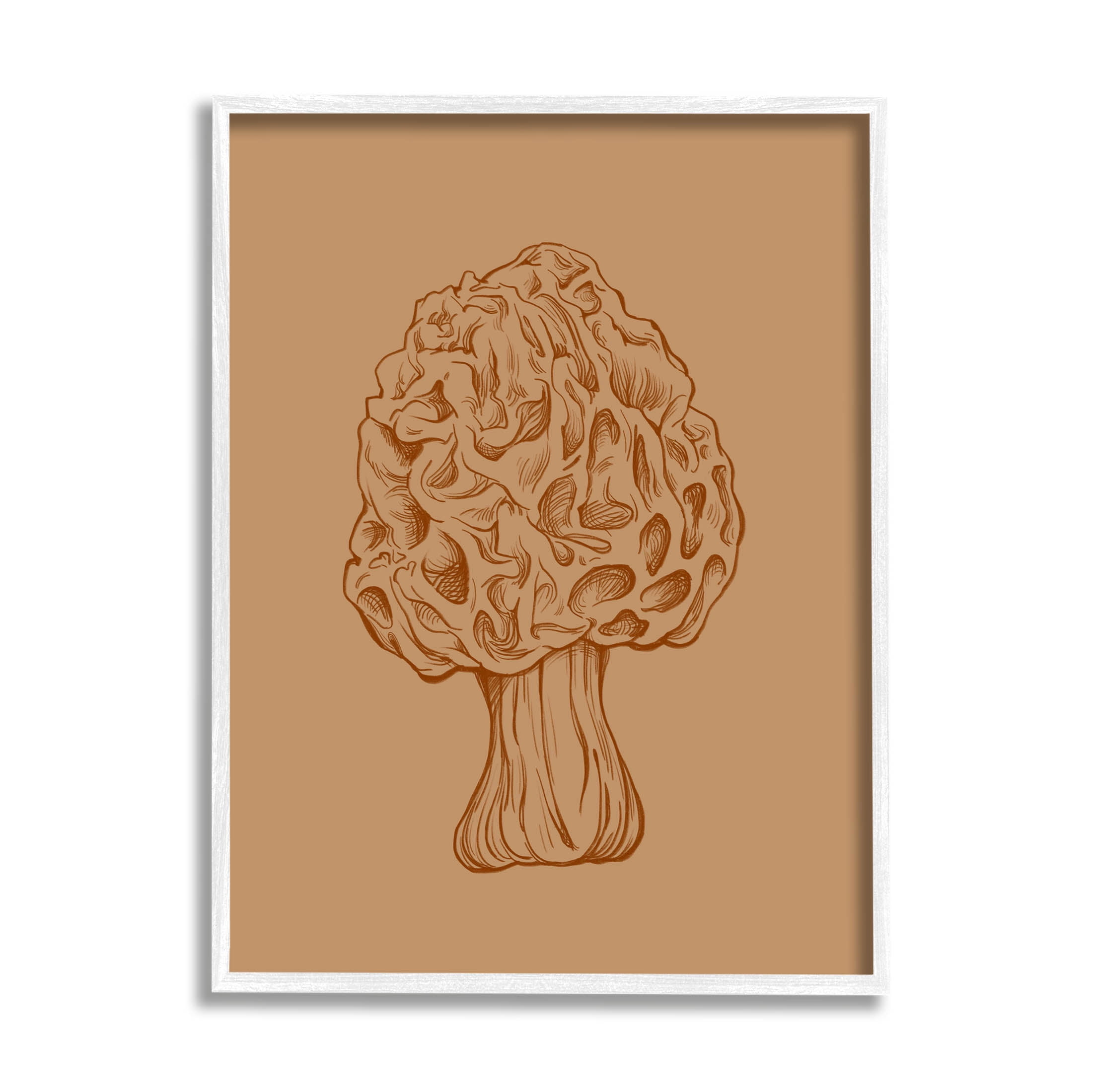 Stupell Industries Organic Mushroom Detailed Study Graphic Art White Framed Art Print Wall Art, Design by Ziwei Li