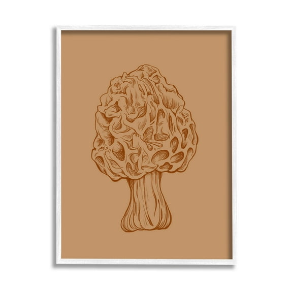 Stupell Industries Organic Mushroom Detailed Study Graphic Art White Framed Art Print Wall Art, Design by Ziwei Li