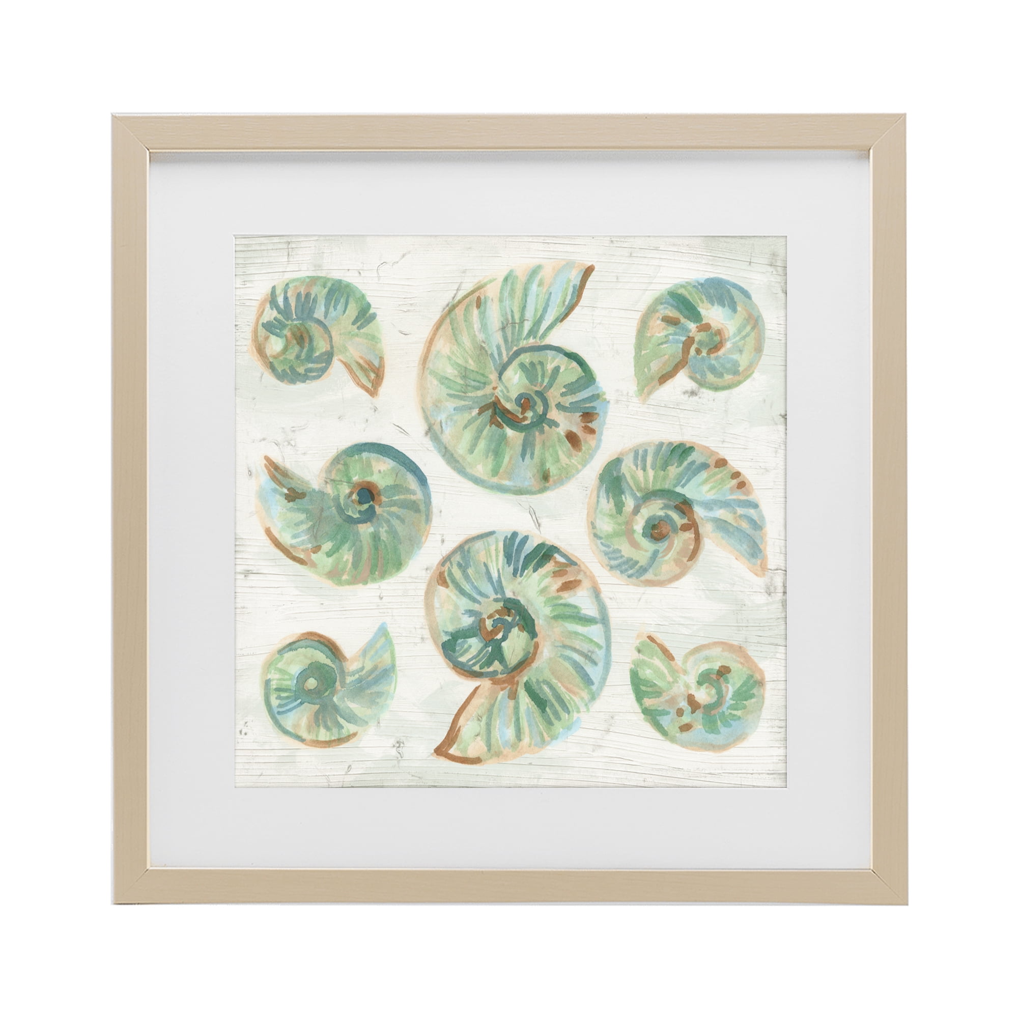 Stupell Industries Organic Saltwashed Shells Birch Framed Print Under Glass, design by June Erica Vess