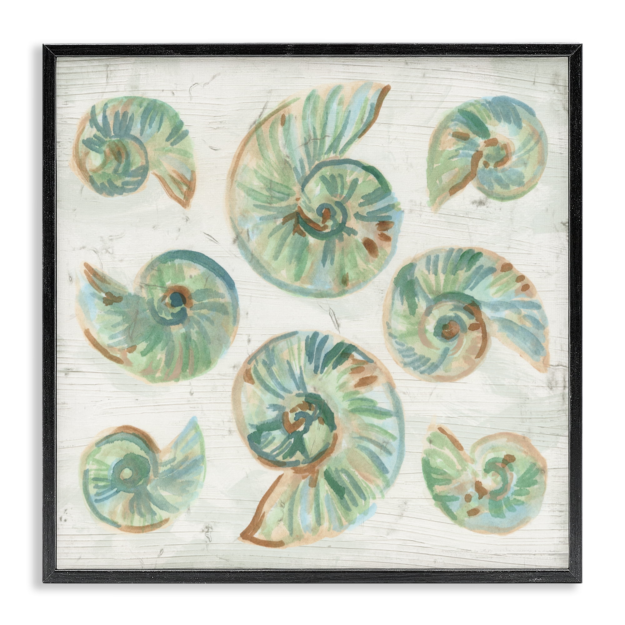 Stupell Industries Organic Saltwashed Shells Black Framed Giclee Art, design by June Erica Vess