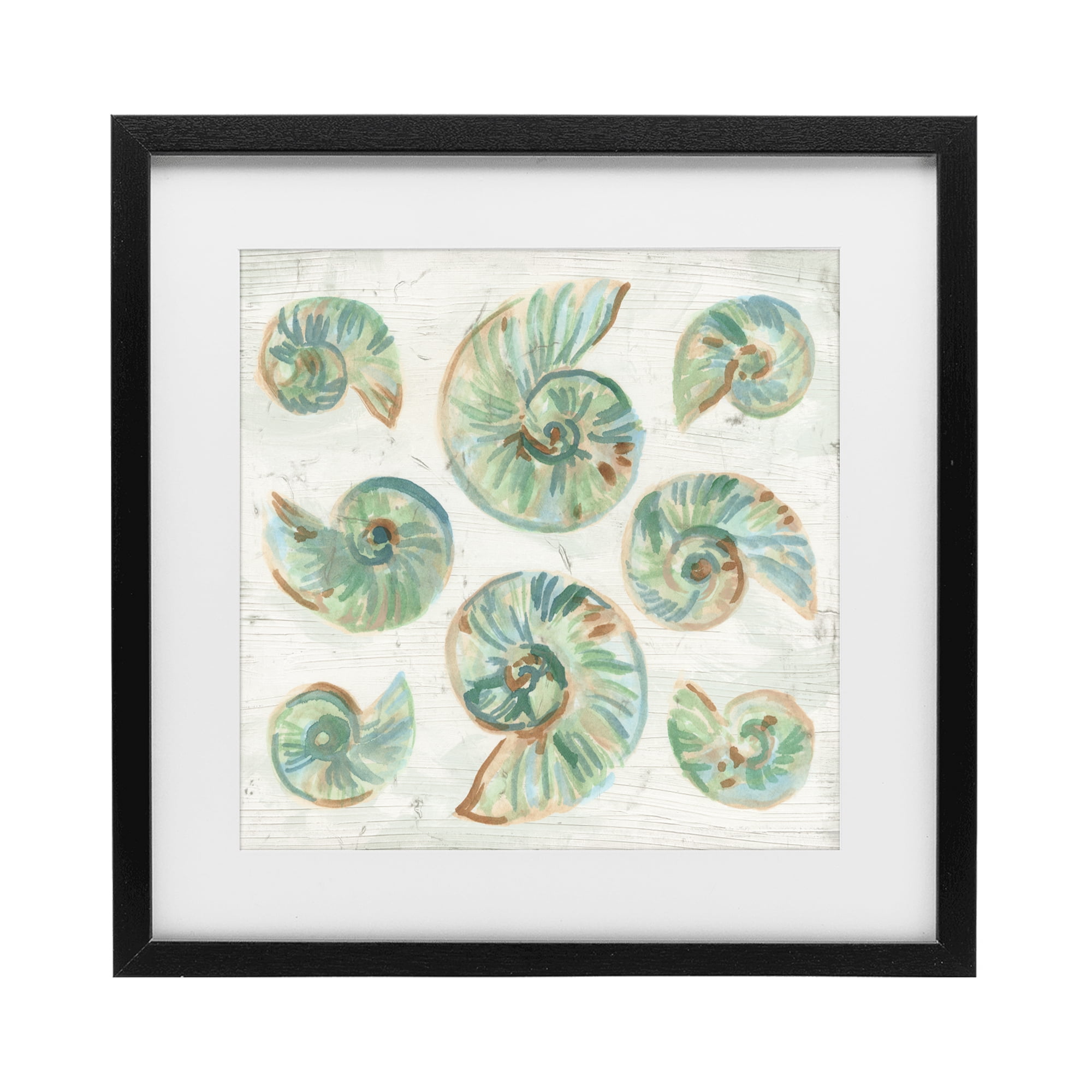 Stupell Industries Organic Saltwashed Shells Black Framed Print Under Glass, design by June Erica Vess