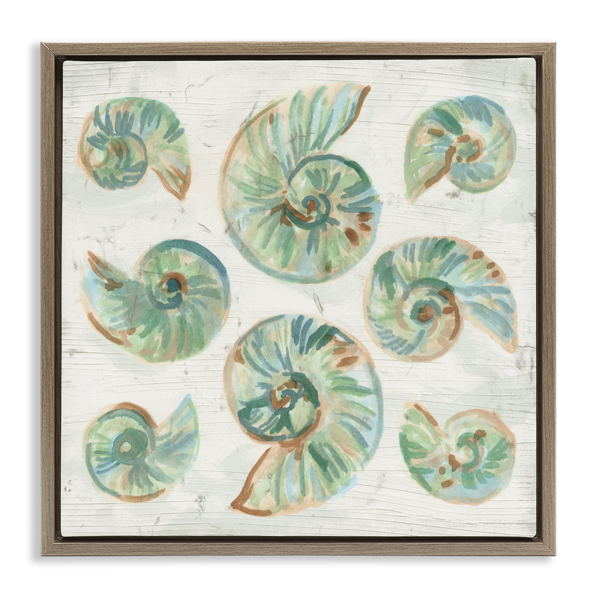 Stupell Industries Organic Saltwashed Shells Brown Framed Floater Canvas Wall Art, design by June Erica Vess