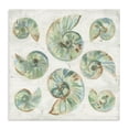 thumbnail image 1 of Stupell Industries Rustic Lodge Organic Saltwashed Shells Canvas Art, 30 x 30, by June Erica Vess, 1 of 8