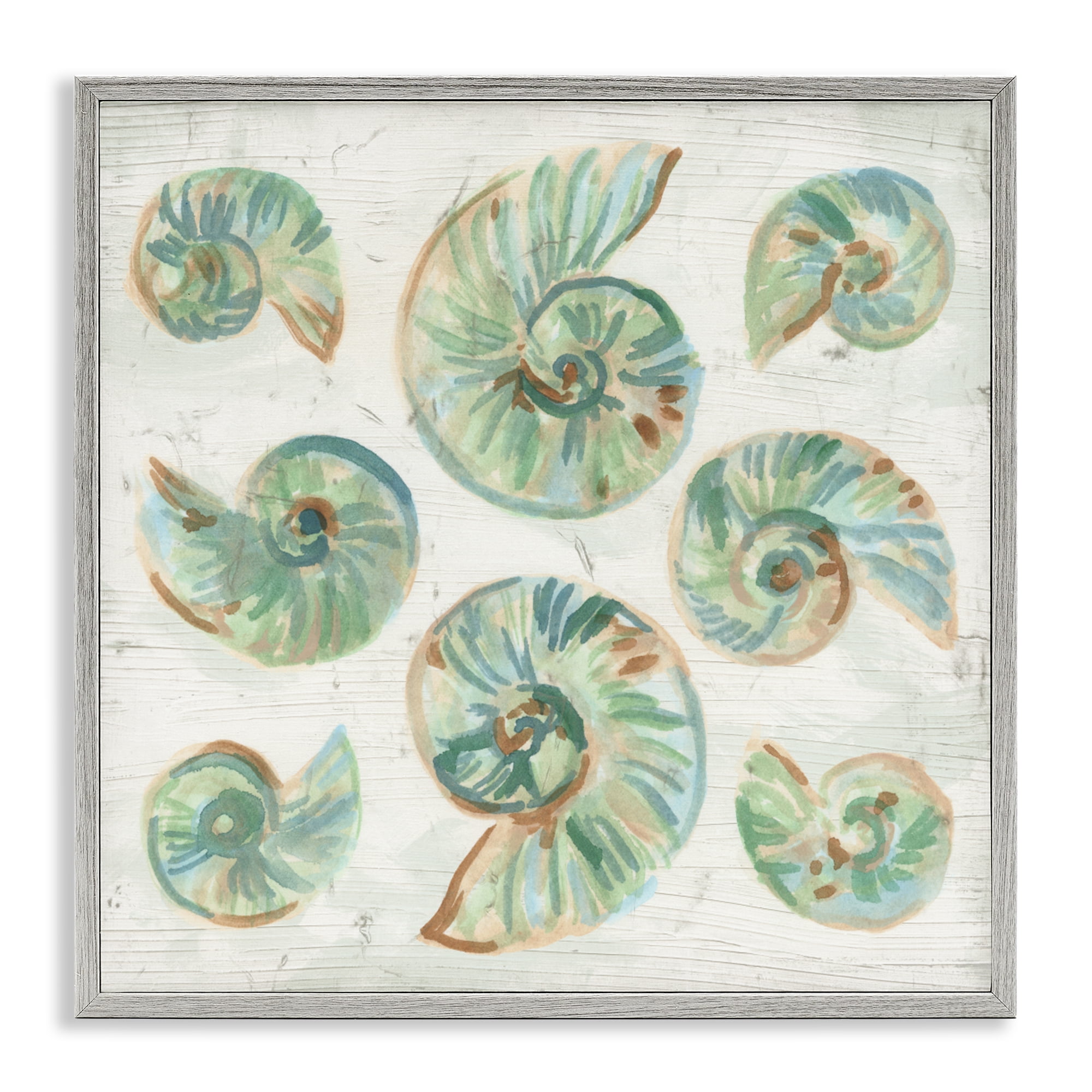 Stupell Industries Organic Saltwashed Shells Gray Framed Giclee Art, design by June Erica Vess