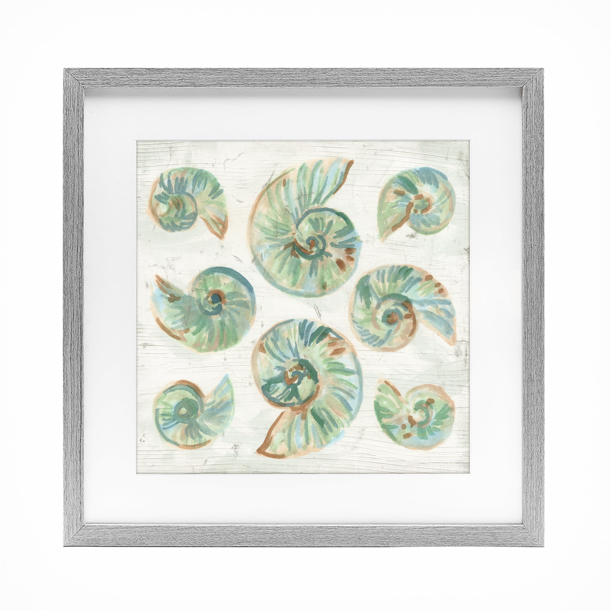 Stupell Industries Organic Saltwashed Shells Gray Framed Print Under Glass, design by June Erica Vess