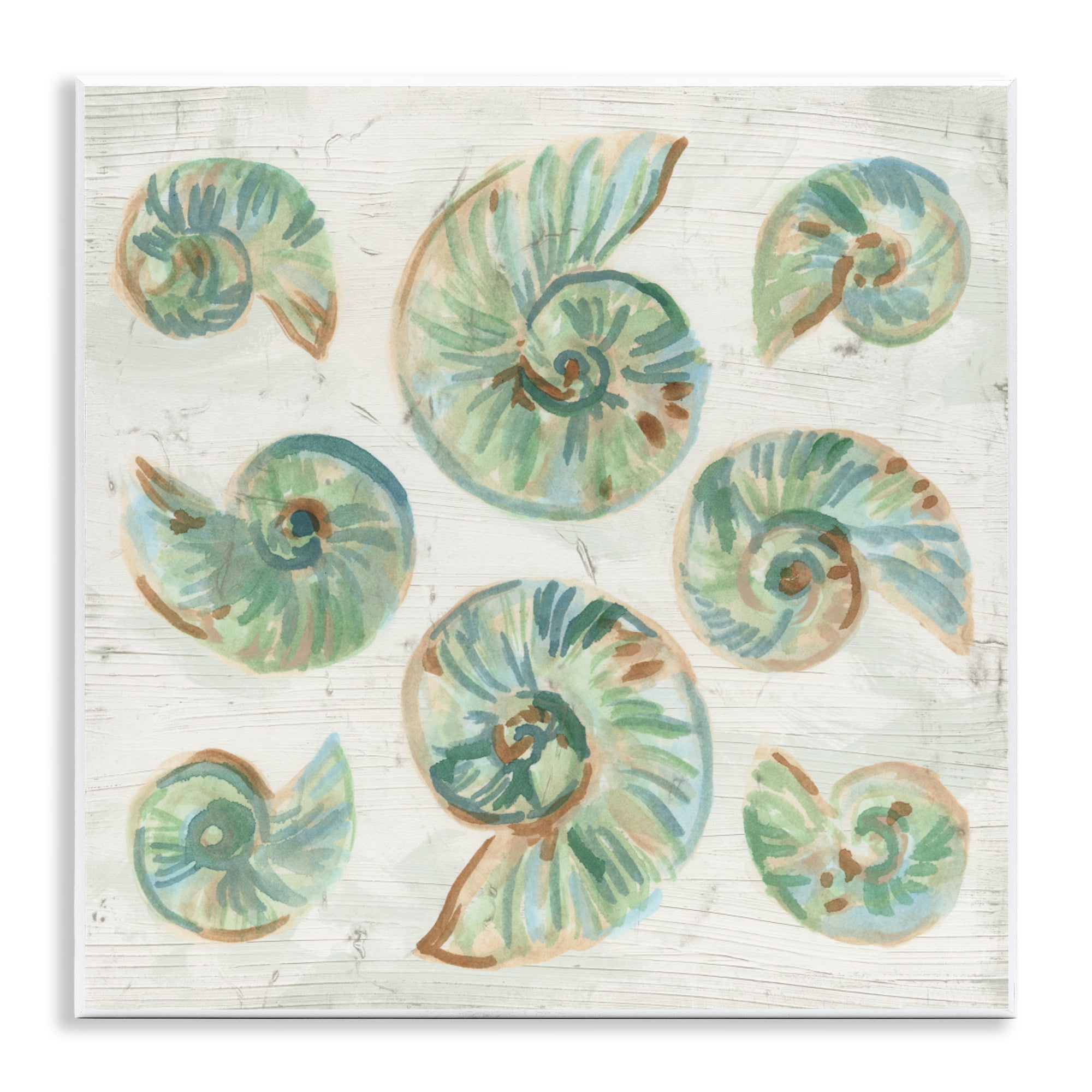 Stupell Industries Organic Saltwashed Shells Wall Plaque Art, design by June Erica Vess