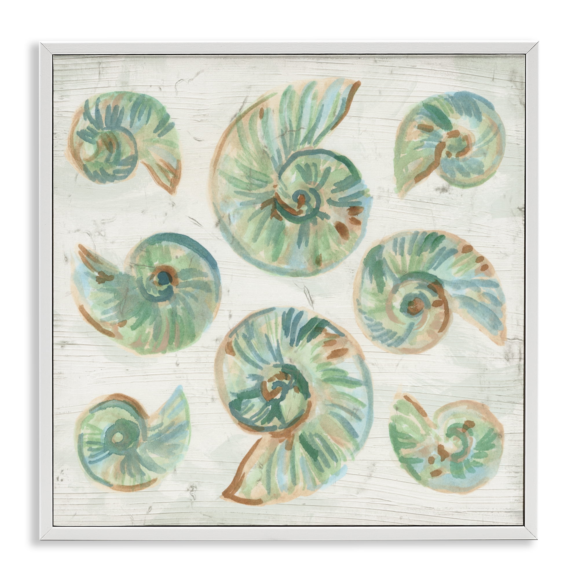 Stupell Industries Organic Saltwashed Shells White Framed Giclee Art, design by June Erica Vess