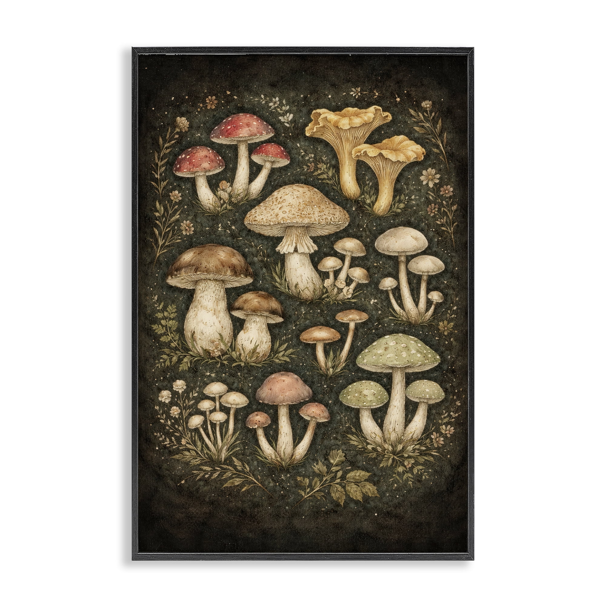 Stupell Industries Organic Sprouting Mushrooms Black Framed Giclee Art, design by Tom Crehan