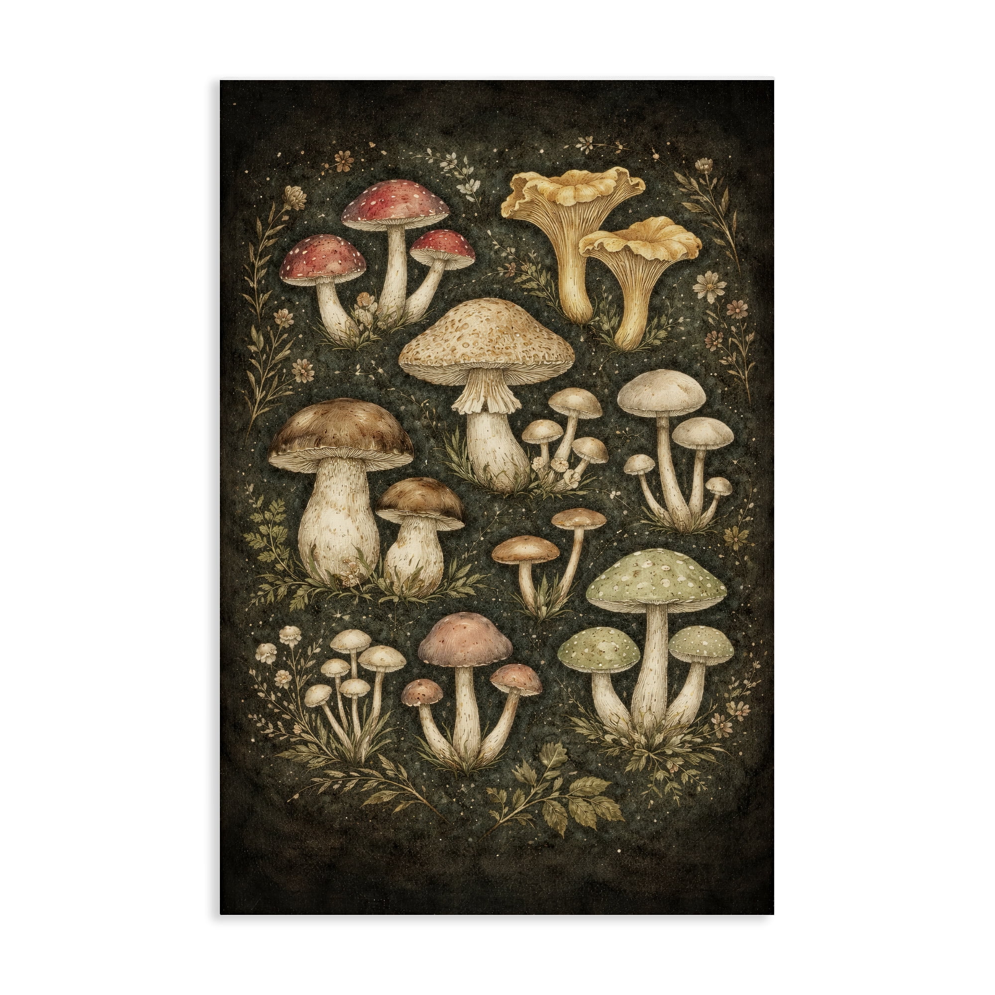 Stupell Industries Organic Sprouting Mushrooms Canvas Wall Art, design by Tom Crehan