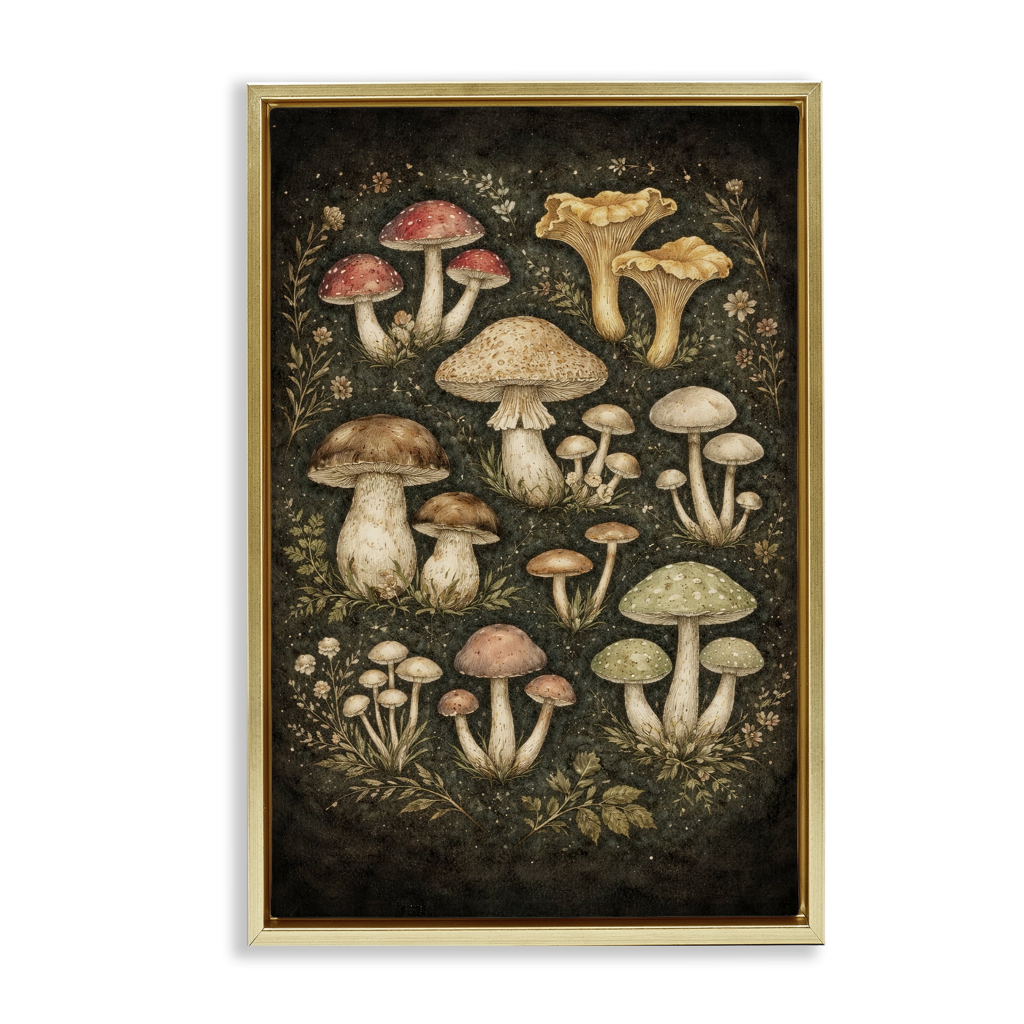 Stupell Industries Organic Sprouting Mushrooms Gold Framed Floater Canvas Wall Art, design by Tom Crehan