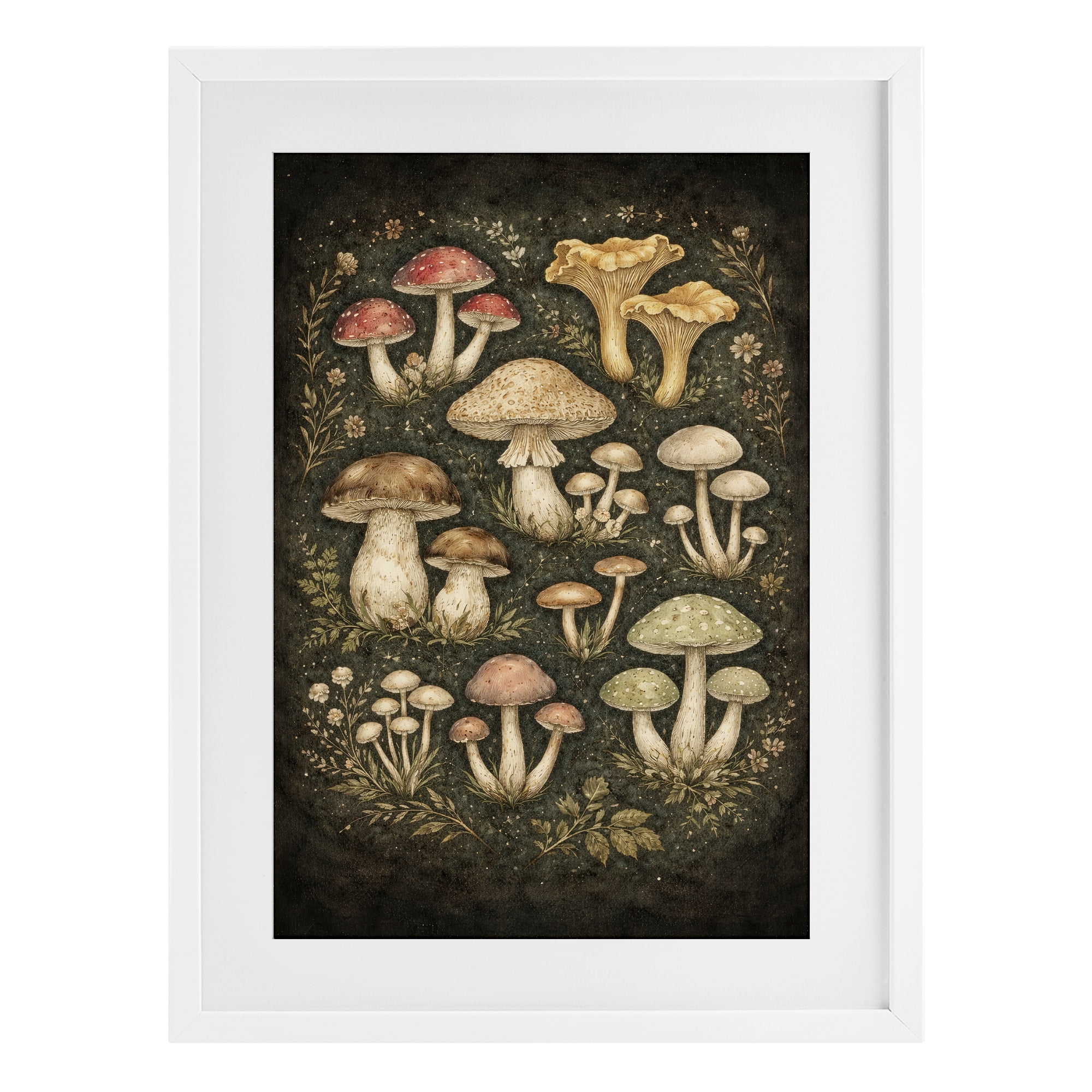 Stupell Industries Organic Sprouting Mushrooms White Framed Print Under Glass, design by Tom Crehan