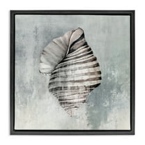 Stupell Industries Organic Twisted Seashell Nautical & Beach Painting Black Floater Framed Canvas Art Print Wall Art, 18 x 18