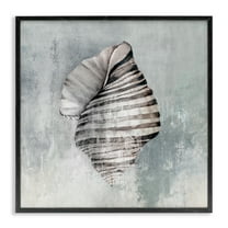 Stupell Industries Organic Twisted Seashell Nautical & Beach Painting Black Framed Art Print Wall Art, 12 x 12