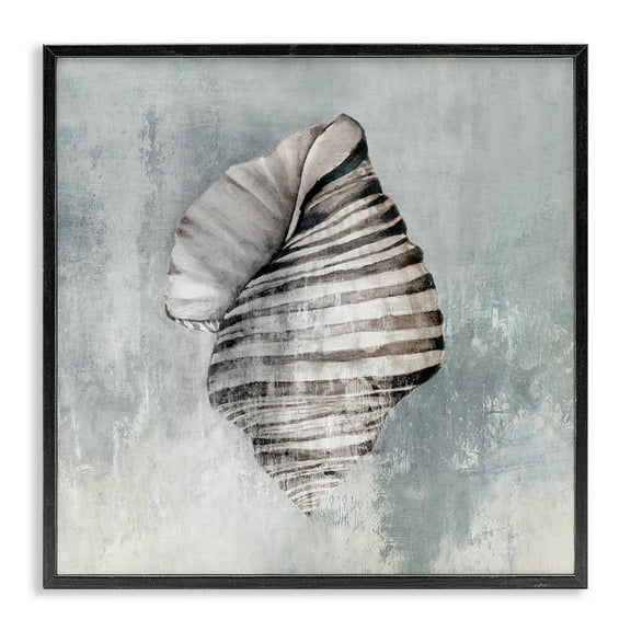 Stupell Industries Organic Twisted Seashell Nautical & Beach Painting Black Framed Art Print Wall Art, 12 x 12