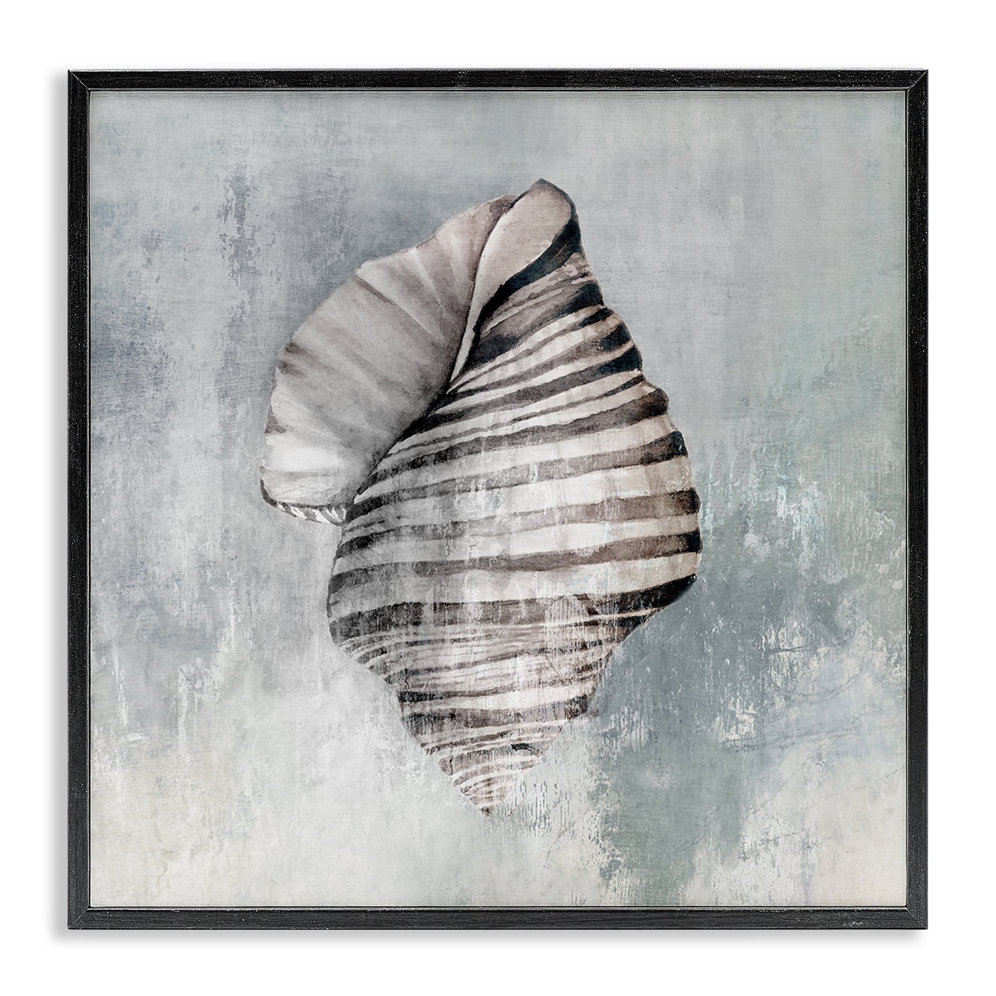 Stupell Industries Organic Twisted Seashell Nautical & Beach Painting Black Framed Art Print Wall Art, 24 x 24