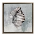 thumbnail image 1 of Stupell Industries Tropical Organic Twisted Seashell Brown Floating Frame Canvas Art, 18 x 18, by Eli Jones, 1 of 8