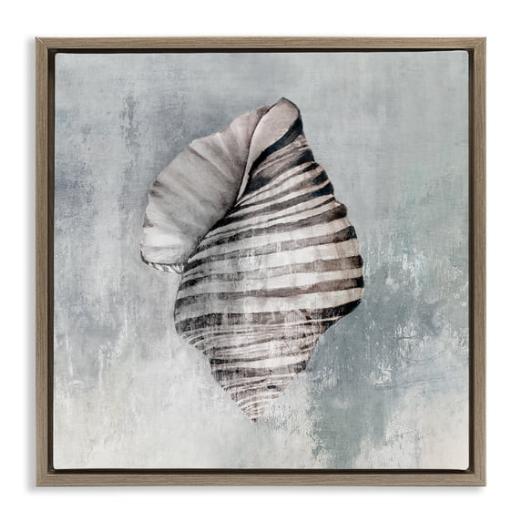 Stupell Industries Tropical Organic Twisted Seashell Brown Floating Frame Canvas Art, 18 x 18, by Eli Jones