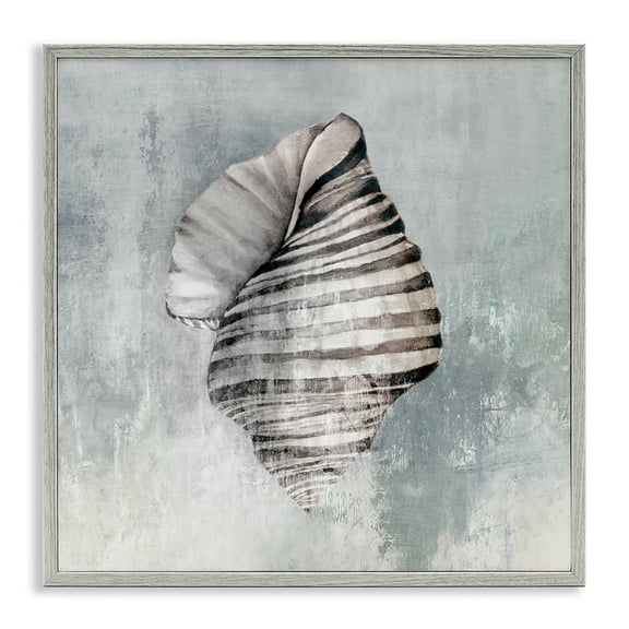 Stupell Industries Organic Twisted Seashell Nautical & Beach Painting Gray Framed Art Print Wall Art, 24 x 24
