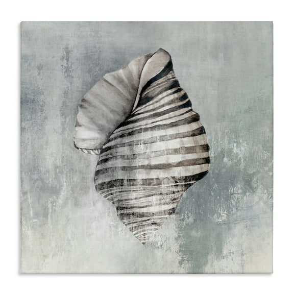 Stupell Industries Organic Twisted Seashell Nautical & Beach Painting Wrapped Canvas Art Print Wall Art, 17 x 17