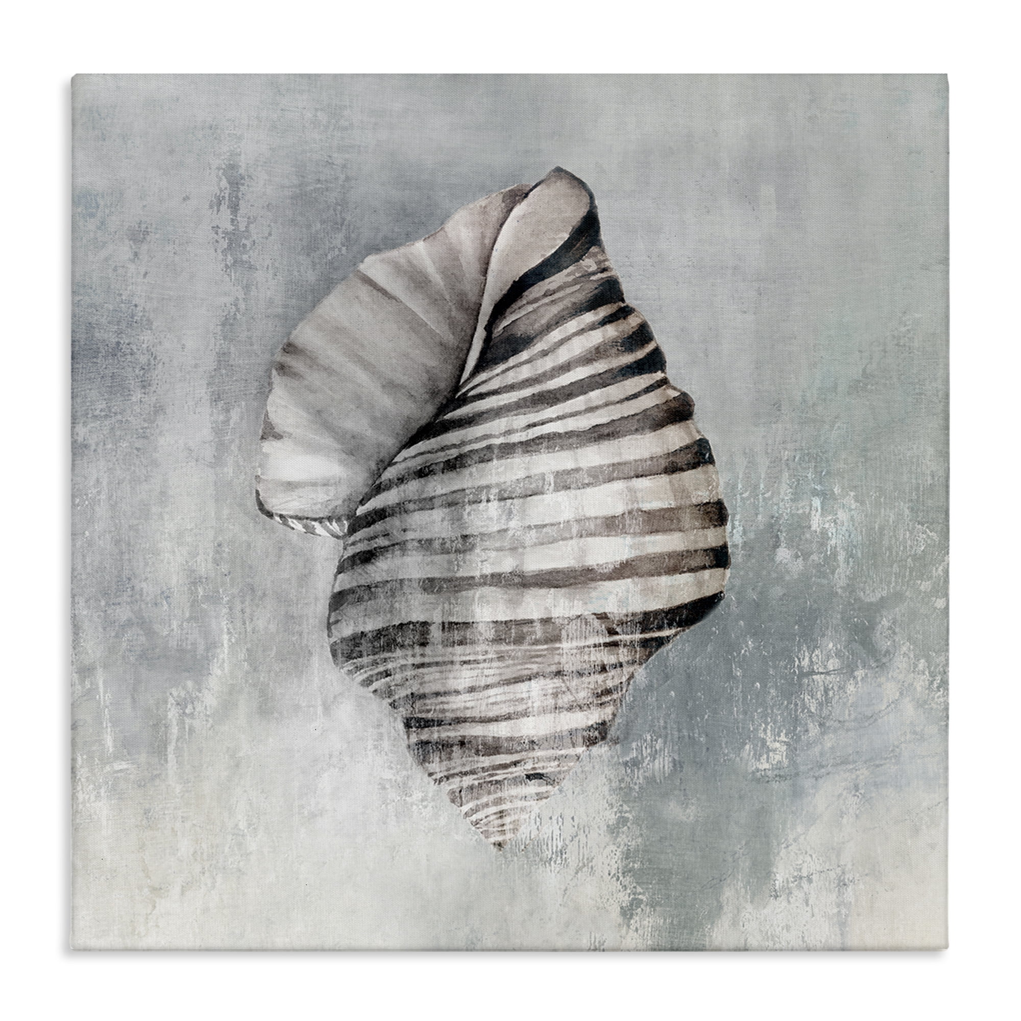 Stupell Industries Organic Twisted Seashell Nautical & Beach Painting Wrapped Canvas Art Print Wall Art, 24 x 24