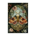 thumbnail image 1 of Stupell Industries Ornate Bordered Victorian Moth Floral Painting Wrapped Canvas Canvas Art Print Wall Art, 30 x 45, 1 of 7