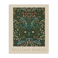 thumbnail image 1 of Stupell Industries Eclectic Ornate Botanicals William Morris Canvas Art, 24 x 30, by Lil' Rue, 1 of 8